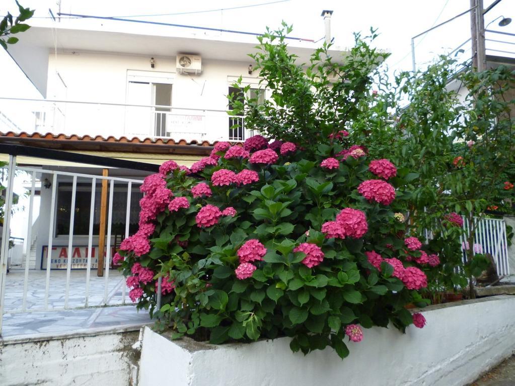 Galini Samothraki Hotel แตร์มา ภายนอก รูปภาพ