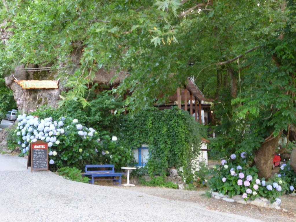 Galini Samothraki Hotel แตร์มา ภายนอก รูปภาพ