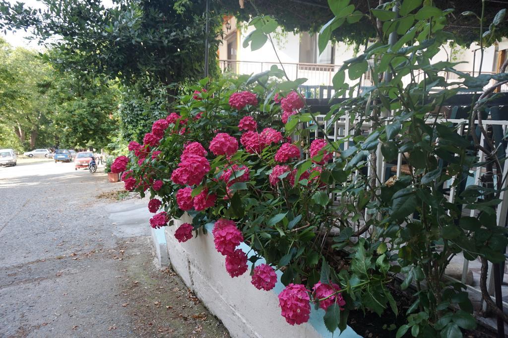 Galini Samothraki Hotel แตร์มา ภายนอก รูปภาพ